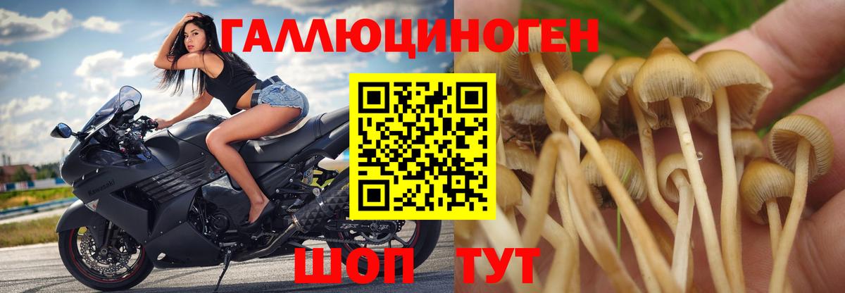 Галлюциногенные грибы мицелий Добрянка