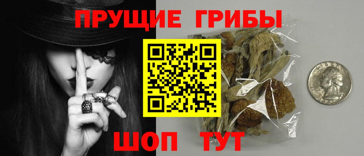 Галлюциногенные грибы Psilocybe  Вход с VPN  Добрянка 