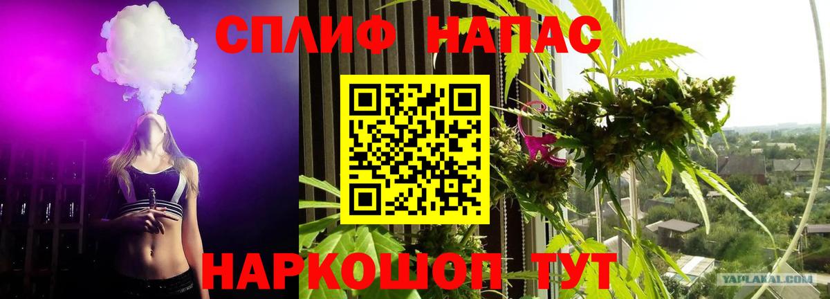 Бошки Шишки VHQ Добрянка